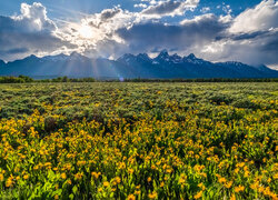 Promienie słońca i chmury nad łąką i górami w Parku Narodowym Grand Teton