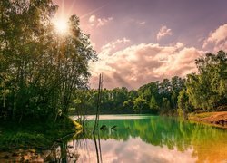Promienie słońca nad drzewami przy rzece
