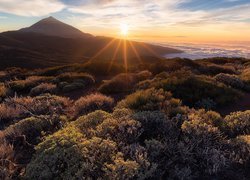 Hiszpania, Teneryfa, Wschód słońca, Góry, Góra Teide, Roślinność