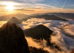 Promienie słońca nad górami i lasami we mgle