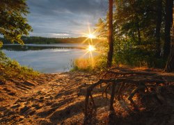 Jezioro, Las, Drzewa, Roślinność, Promienie słońca, Chmury