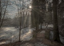 Zima, Staw Barski, Drzewa, Promienie słońca, Most, Serednikowo, Obwód moskiewski, Rosja