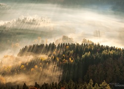 Polska, Sudety, Rudawy Janowickie, Przebijające światło, Mgła, Lasy, Drzewa, Z lotu ptaka