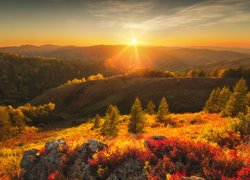 Jesień, Promienie słońca, Góry Ałtaj, Drzewa, Krzewy, Rezerwat Tigirek, Ałtaj, Rosja
