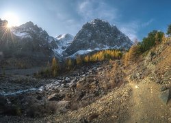 Góry Akturu, Drzewa, Potok, Kamienie, Promienie słońca, Ałtaj, Rosja