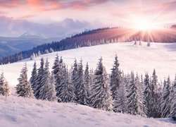 Promienie słońca nad zalesionymi ośnieżonymi stokami