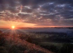 Wzgórza, Drzewa, Rośliny, Chmury, Mgła, Promienie słońca, Sylva, Kraj Permski, Rosja