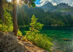 Promienie słońca w drzewach na skałach nad górskim jeziorem