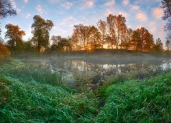 Promienie słońca w jesiennych drzewach nad stawem