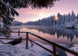 Zima, Śnieg, Jezioro, Etang de la Gruere, Las, Ośnieżone, Drzewa, Kanton Jura, Szwajcaria