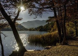 Promienie wchodzącego słońca nad jeziorem otoczonym lasem