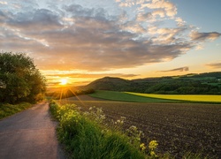 Niemcy, Nadrenia Palatynat, Góry Eifel, Droga, Drzewa, Pola, Zachód słońca