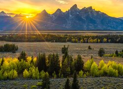 Stany Zjednoczone, Wyoming, Park Narodowy Grand Teton, Promienie słońca, Góry, Drzewa