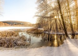 Zima, Śnieg, Jezioro, Drzewa, Trawa, Domy, Przebijające światło