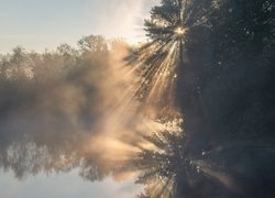 Rzeka, Drzewa, Mgła, Przebijające światło