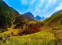 Włochy, Region Piemont Alpy Kotyjskie, Przełęcz Colle Fauniera, Wzgórza, Góry, Drzewa