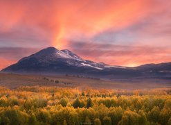 Przełęcz Conway Summit, Hrabstwo Mono, Stan Kalifornia, Stany Zjednoczone, Góry Sierra Nevada, Las, Drzewa, Jesień, Zachód słońca, Mgła