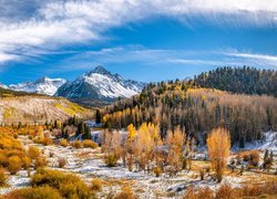 Góry, San Juan Mountains, Góra, Mount Sneffels, Lasy, Drzewa, Śnieg, Przełęcz Dallas Divide, Kolorado, Stany Zjednoczone