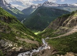 Porośnięte, Wzgórza, Góry Skaliste, Przełęcz Logan Pass, Skały, Strumyk, Kamienie, Park Narodowy Glacier, Stan Montana, Stany Zjednoczone