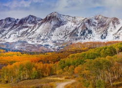Stany Zjednoczone, Stan Kolorado, Jesień, Góry, Przełęcz Ohio Pass, Drzewa, Lasy, Droga