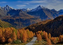 Jesień, Góry, Droga, Drzewa, Przełęcz, Passo del Bernina, Kanton Gryzonia, Szwajcaria