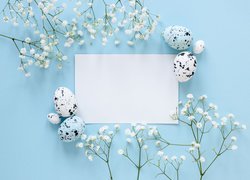 Przepiórcze jajeczka obok białej kartki i kwiatów gipsówki