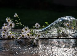 Przewrócony szklany wazon z kwiatami przymiotna
