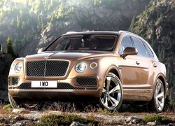 Bentley Bentayga, Przodem