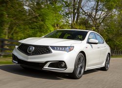 Acura TLX, Droga, Drzewa