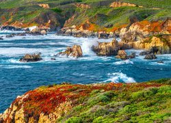 Stany Zjednoczone, Stan Kalifornia, Park stanowy Garrapata, Morze, Skały, Wybrzeże, Big Sur, Fale, Rośliny