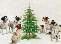 Psy wokół choinki w malarstwie Karla Reicherta