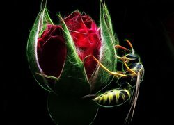 Pszczoła na pąku róży w grafice