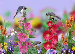 Kwiaty, Malwy, Ptaki, Grafika