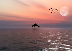 Ptaki obok księżyca i skaczący delfin