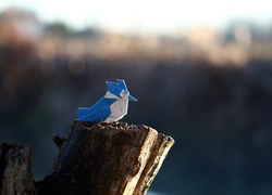 Ptaszek w sztuce origami