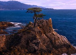 Morze, Skała, Cyprys, Stany Zjednoczone, Kalifornia, Półwysep Monterey, Zatoka Carmel
