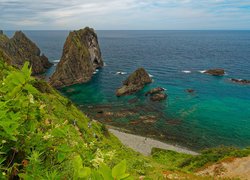 Morze, Skały, Roślinność, Punkt widokowy Shimamui Coast, Półwysep Shakotan, Hokkaido, Japonia