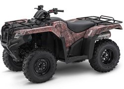 Quad, Honda FourTrax Rancher, 2021