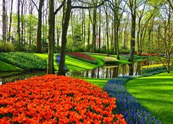 Park, Rabaty, Kolorowe, Kwiaty, Tulipany, Szafirki, Strumień, Drzewa, Wiosna
