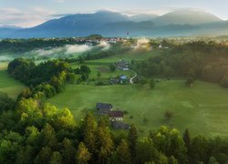 Z lotu ptaka, Góry, Domy, Mgła, Drzewa, Radovljica, Słowenia