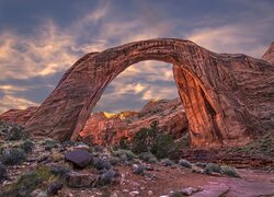 Skały, Łuk skalny, Kamienie, Rośliny, Rainbow Bridge, Utah, Stany Zjednoczone