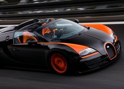 Rajdowy Bugatti Veyron Grand Sport