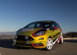 Rajdowy, Ford Fiesta ST, 2015