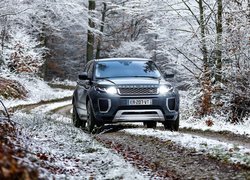 Range Rover Evoque Autobiography 2017