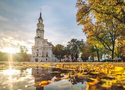 Litwa, Kowno, Plac, Ratusz, Muzeum ceramiki, Jesień, Promienie słońca, Drzewa, Liście, Kałuża