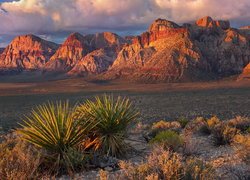 Red Rock Canyon, Góry, Czerwone, Skały, Rośliny, Nevada, Stany Zjednoczone