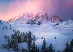 Stany Zjednoczone, Stan Kalifornia, Region Eastern Sierra, Zima, Wschód słońca, Góry, Ośnieżone, Drzewa