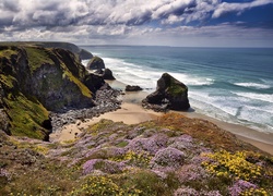 Anglia, Kornwalia, Rezerwat Przyrody Carnewas and Bedruthan Steps, Wybrzeże, Skały, Kwiaty, Morze Celtyckie