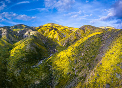 Góry, Rezerwat przyrody, Carrizo Plain National Monument, Kalifornia, Stany Zjednoczone