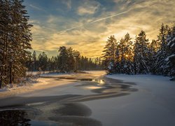 Rezerwat przyrody Glaskogen zimą